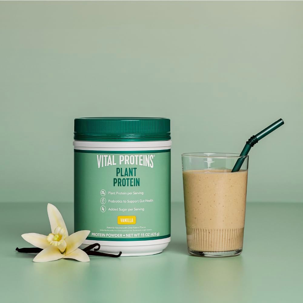 Vital Proteins Protein Powder – 20g Plant Based Protein with Chickpea – 1B CFU Probiotic for Gut Health, No Added Sugar – Vanilla, 15 oz