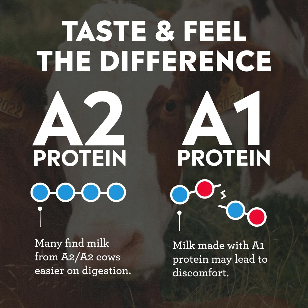 Pioneer Pastures High Protein A2 Milkshakes, Vanilla, 11oz, 12 Pack | A2 Protein Shake, 30g Protein, Ultra-Filtered, Lactose Free, 2g Sugar, No Seed Oils, No Artificial Sweeteners